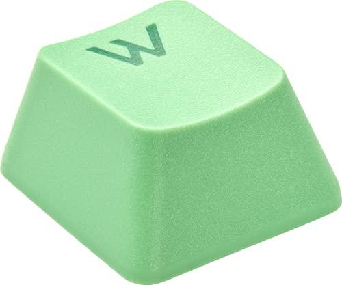 Corsair PBT Double-Shot PRO Keycap Mod Kit – Double-Shot PBT Keycaps – Mint Green – Standard Bottom Row – Textured Surface – 1.5mm-Thick Walls – O-Ring Dampeners (CH-9911080-NA)