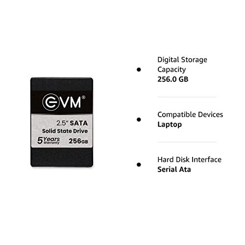 EVM EVM25/256GB 256GB SSD 2.5"(6.35 CM) INCH SATA, Solid State Drive