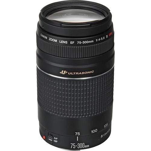 Canon EOS EF 75-300mm F/4-5.6 II Telephoto Zoom Lens for Canon DSLR Camera