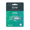 EVM M.2 (2280) 256GB SATA Internal SSD - Read: 530MB/s & Write: 420MB/s - Solid State Drive with 5 Years Warranty (EVMM2/256GB)