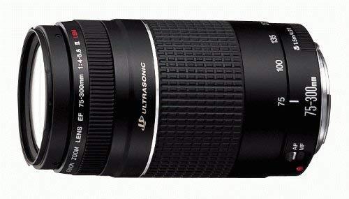 Canon EF 75-300 mm f/4-5.6 III Telephoto Zoom Lens for Canon SLR Cameras