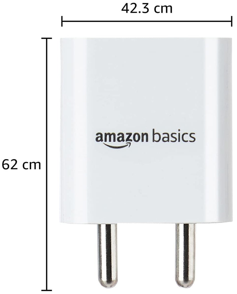 amazon basics 20 Watts Phone Charger for Type C Adapter with Charging without Cable Easy to Carry(White)