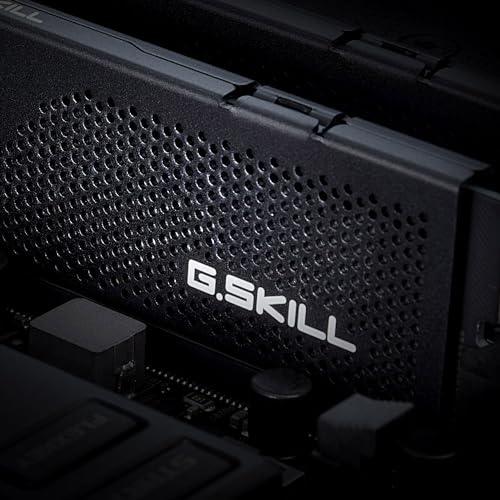 G.SKILL Flare X5 Series (AMD Expo) 64GB (2x32GB) DDR5 6000 Mhz CL30-40-40-96 1.40V Desktop Memory RAM - F5-6000J3040G32GX2-FX5