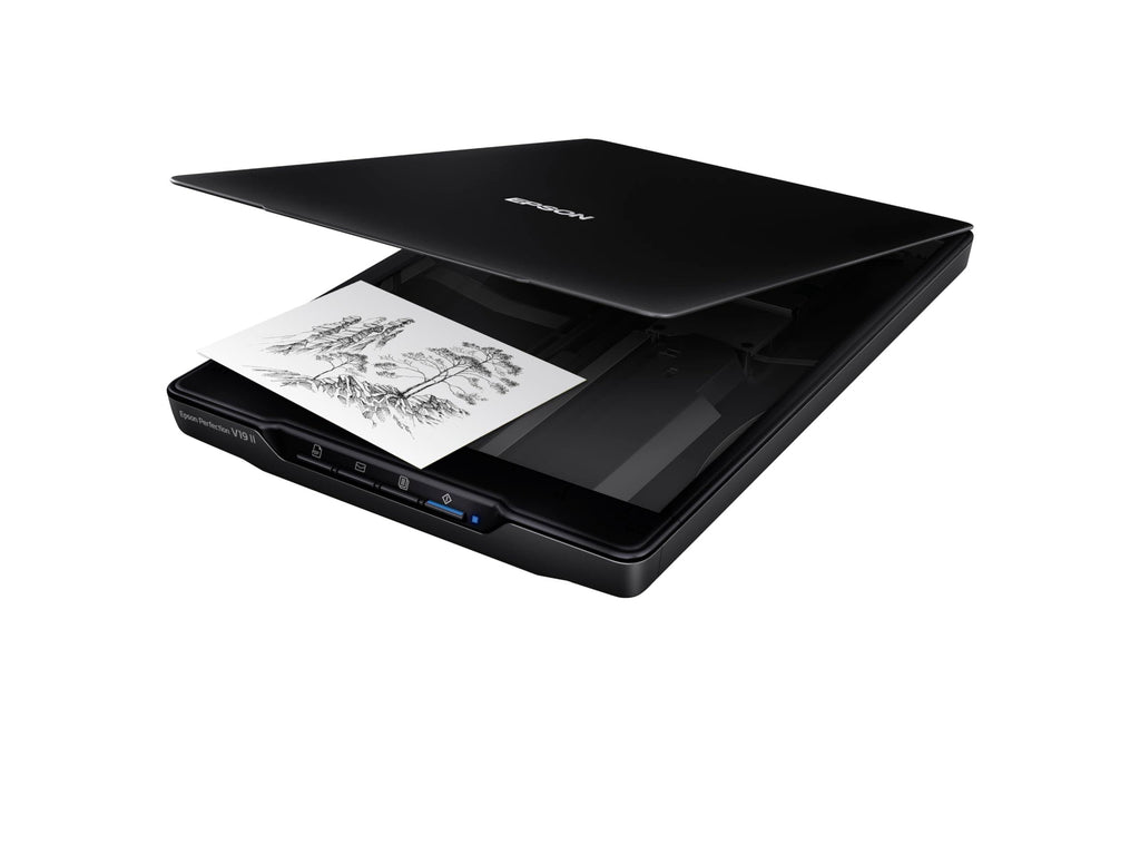 Epson Perfection V19 II Color Photo and Document Flatbed Scanner with 4800 dpi Optical Resolution, USB Power and High-Rise, Removable Lid