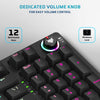 EvoFox Katana-X Mechanical Gaming Keyboard with Outemu Blue Switches | Vivid Rainbow Lighting with 13 Preset Effects | Dedicated Volume Controller | 25 Anti-Ghosting Keys | Windows Lock Key (Black)