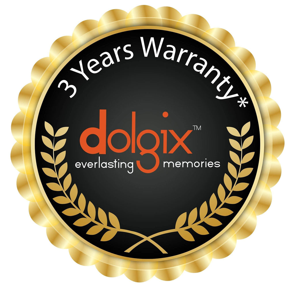 Dolgix 8GB DDR4 RAM | 2400MHz RAM | Laptop/Notebook RAM | CL-17 | Laptop-Memory | SO-DIMM | PC4-19200 |1Rx8 Single Rank | 3- Year Warranty -(Made in India)