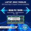 EVM 8GB DDR3 Laptop RAM 1600MHz So-DIMM Memory - High-Speed Performance, Low Voltage Requirement - 10 Year Warranty (EVMT8G1600S86P)