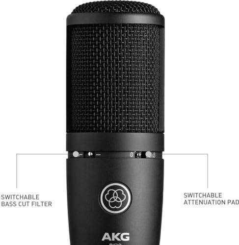 AKG P120 High-Performance General Purpose Recording Microphone - Triveni World