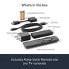 Certified Refurbished Fire TV Stick Lite with Alexa Voice Remote Lite | Stream HD Quality Video | No power and volume buttons - Triveni World