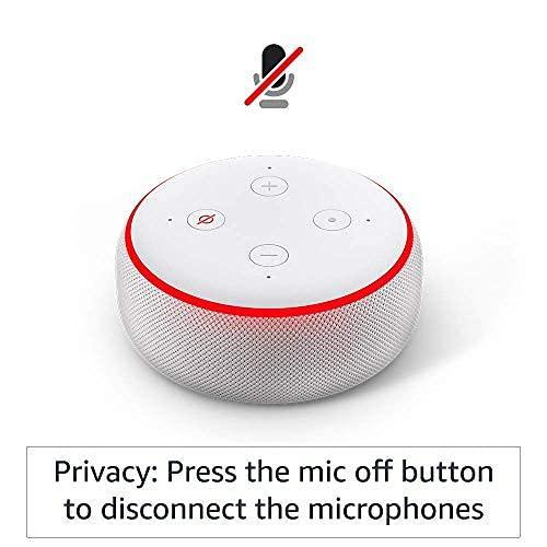 Echo Dot (3rd Gen, Black) combo with Amazon Smart Plug - Triveni World