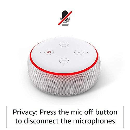 Echo Dot (Black) Combo with Wipro 16A Smart Plug - Triveni World