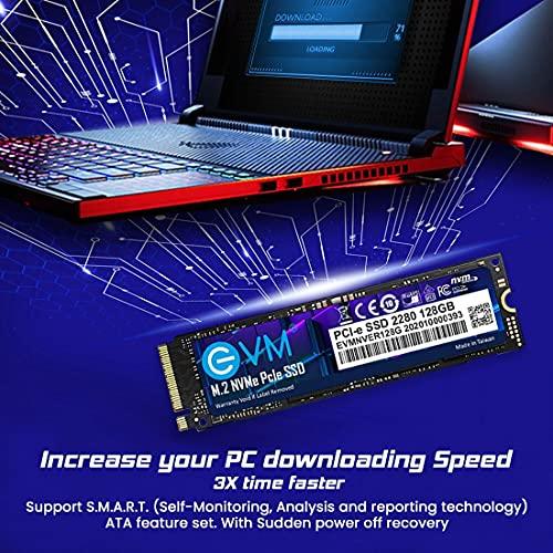 EVM Internal SSD Interface PCle Gen 3x4 Fast Performance, Ultra Low Power Consumption NVME PCIe SSD (EVMNV/128GB, Black, 128GB) - Triveni World