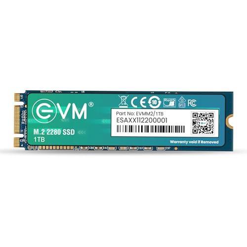 EVM M.2 (2280) 1TB SATA Internal SSD - Read: 550MB/s & Write: 370MB/s - Solid State Drive with 5 Years Warranty (EVMM2/1TB) - Triveni World