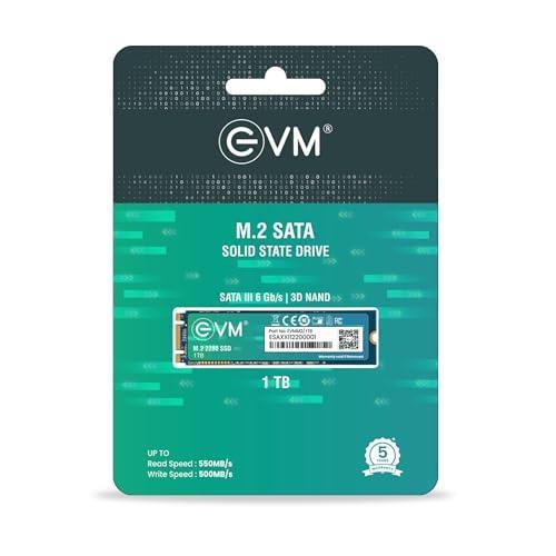 EVM M.2 (2280) 1TB SATA Internal SSD - Read: 550MB/s & Write: 370MB/s - Solid State Drive with 5 Years Warranty (EVMM2/1TB) - Triveni World