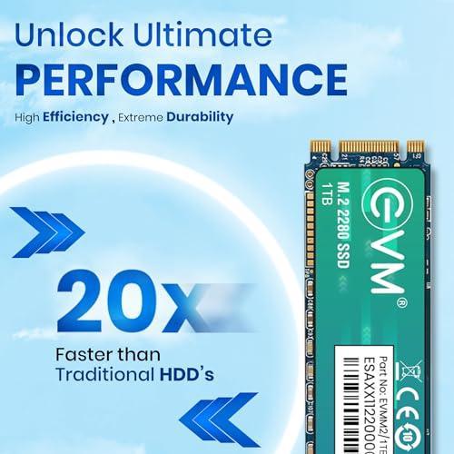 EVM M.2 (2280) 1TB SATA Internal SSD - Read: 550MB/s & Write: 370MB/s - Solid State Drive with 5 Years Warranty (EVMM2/1TB) - Triveni World