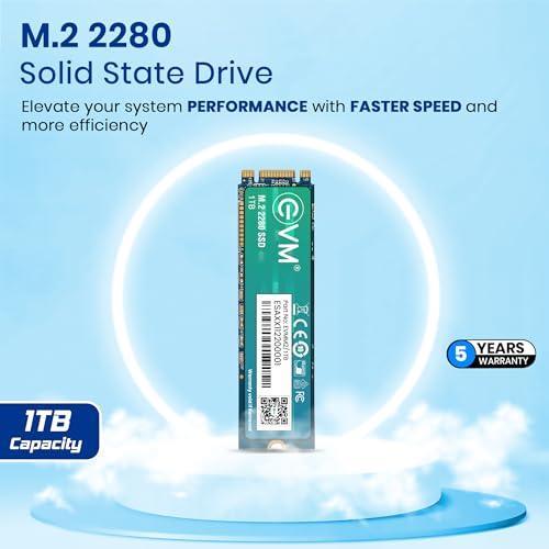 EVM M.2 (2280) 1TB SATA Internal SSD - Read: 550MB/s & Write: 370MB/s - Solid State Drive with 5 Years Warranty (EVMM2/1TB) - Triveni World