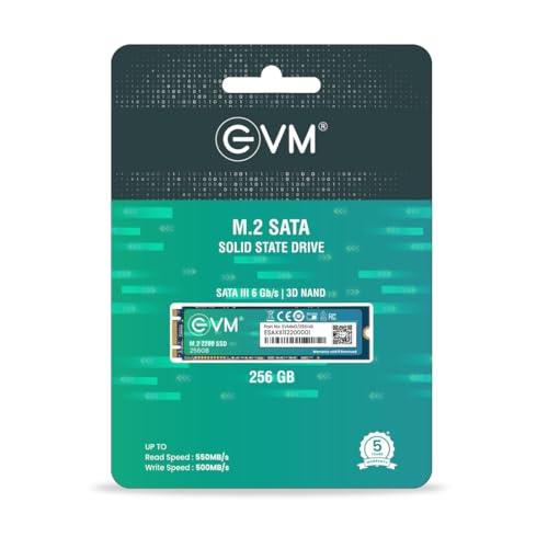 EVM M.2 (2280) 256GB SATA Internal SSD - Read: 530MB/s & Write: 420MB/s - Solid State Drive with 5 Years Warranty (EVMM2/256GB) - Triveni World