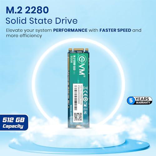 EVM M.2 (2280) 512GB SATA Internal SSD - Read: 540MB/s & Write: 450MB/s - Solid State Drive with 5 Years Warranty (EVMM2/512GB) - Triveni World