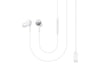 Samsung AKG-Tuned IC100 Type-C Wired in Ear Earphone with mic White - Triveni World