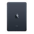 Apple ipad Mini (Wifi Only) - Triveni World