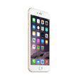 Apple iPhone 6 Plus - Refurbished - Triveni World