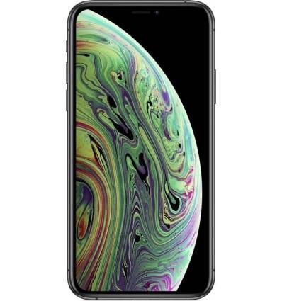 Apple iPhone XS 64GB (Certified Refurbished) (Very Good) - Triveni World