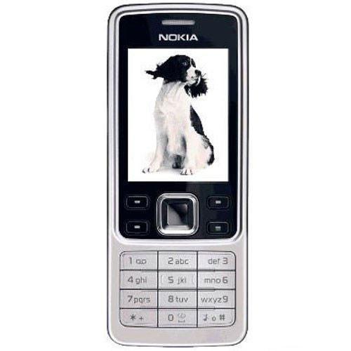 Nokia 6300 - Triveni World