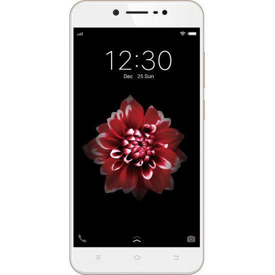 Vivo Y66 (Crown Gold, 32 GB) (3 GB RAM) Refurbished - Triveni World