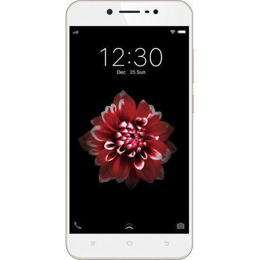 Vivo Y66 (Crown Gold, 32 GB) (3 GB RAM) - Triveni World